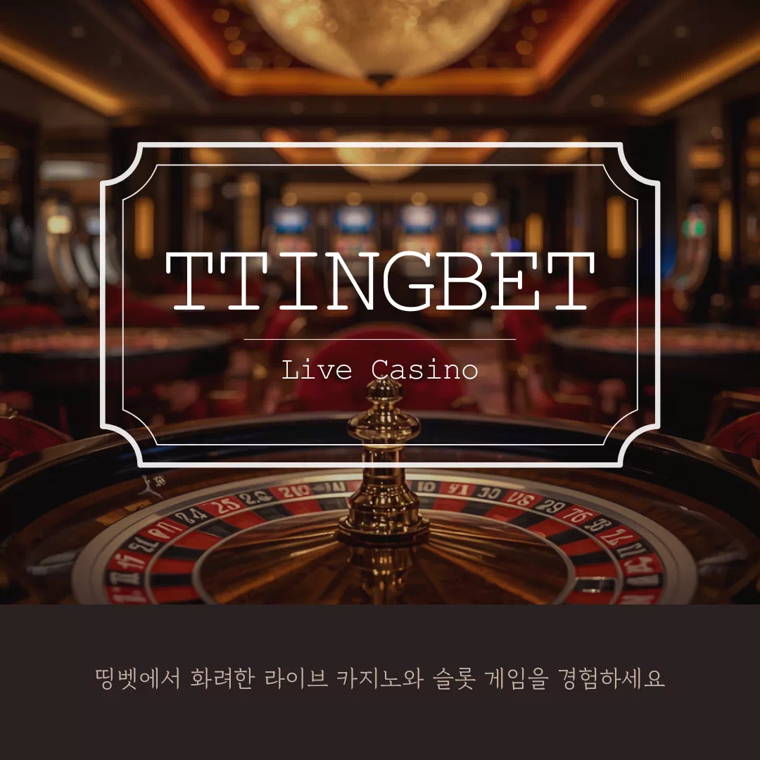 띵벳 보안 시스템과 데이터 보호 구조